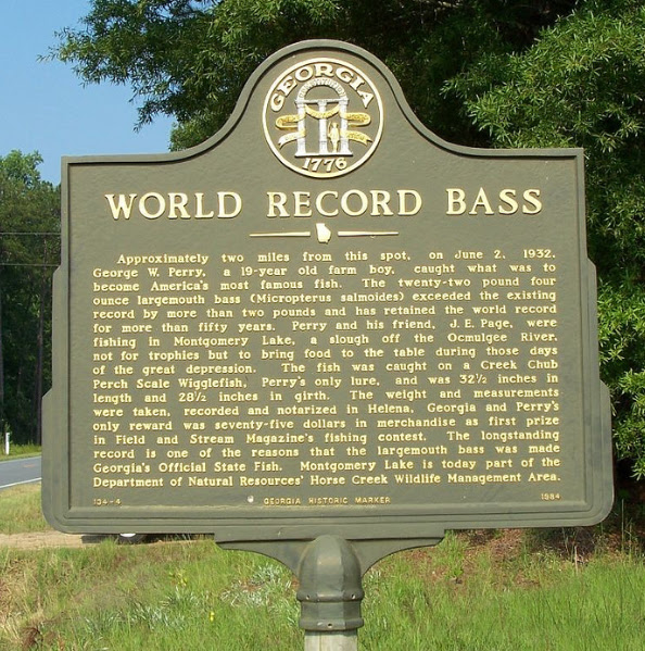 Lake Blackshear Fishing Guide Service Bass, Crappie/Bream Fishing