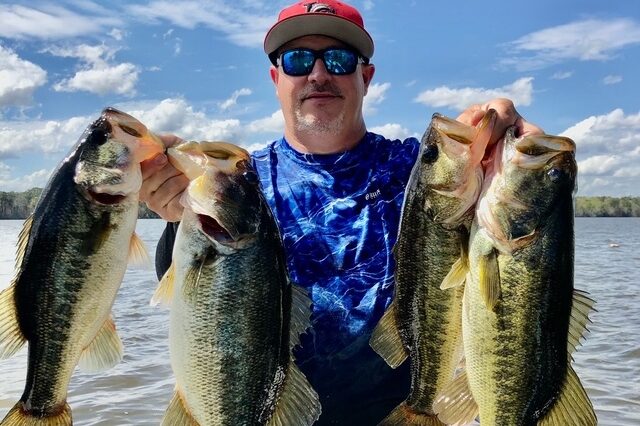Bass fishing in Lake Blackshere