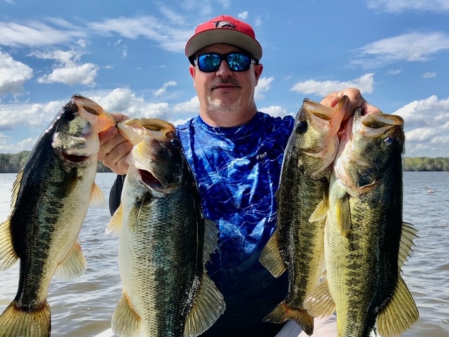 Bass fishing in Lake Blackshere