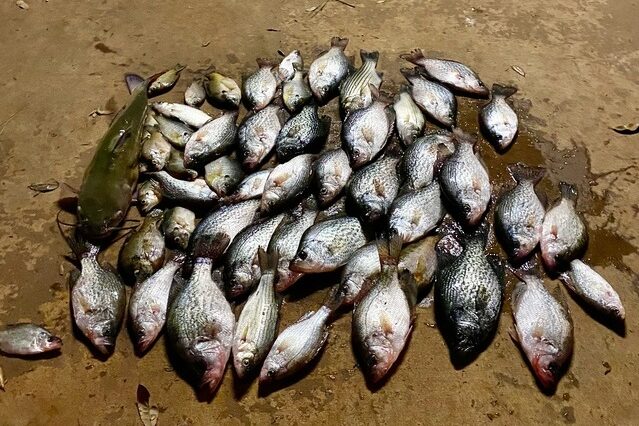 Lake Blackshere Crappie fishing