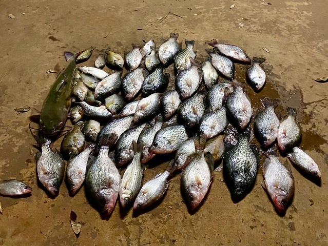 Lake Blackshere Crappie fishing