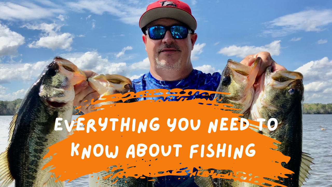 Everything You Need to Know About Fishing Everything You Need to Know About Fishing