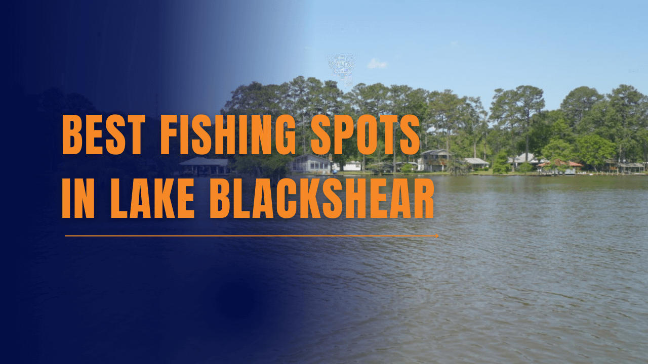 Best Fishing in Lake Blackshear feature Best Fishing in Lake Blackshear