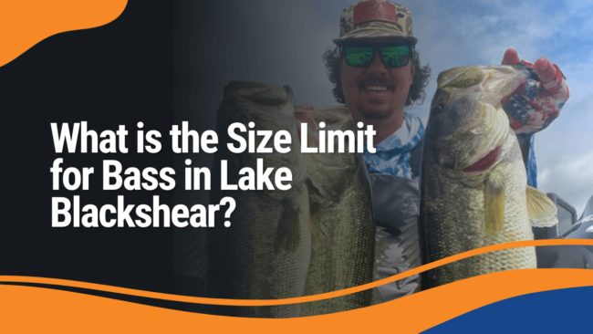 Size Limit for Bass in Lake Blackshear