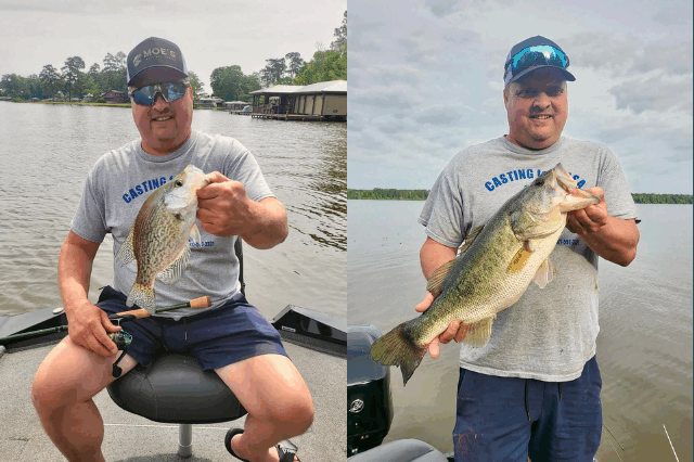 Lake BlackShear Bass fishing