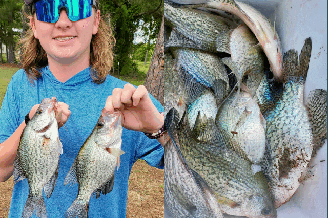 Lake BlackShear Crappie fishing
