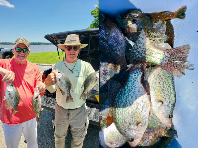 Lake BlackShear Crappie fishing