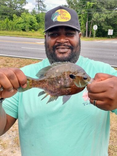 Lake BlackShear Crappie fishing