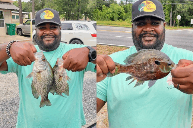 Lake BlackShear Crappie fishing