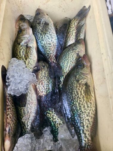 Lake Blackshear Fishing Guide