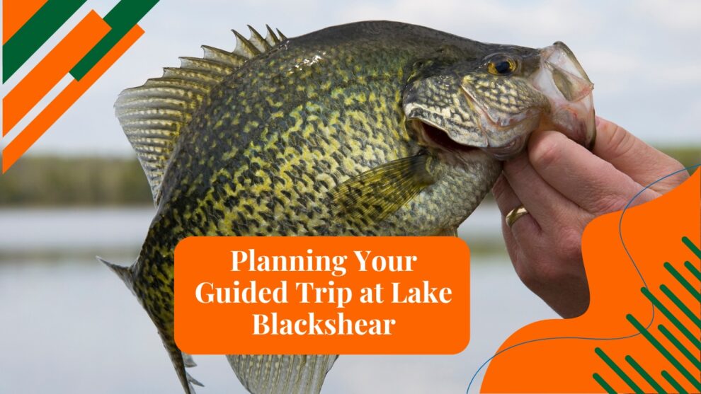 Planning Your Guided Trip at Lake Blackshear