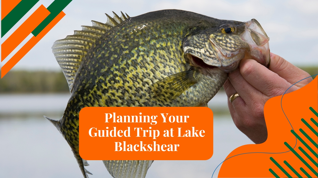 Planning Your Guided Trip at Lake Blackshear