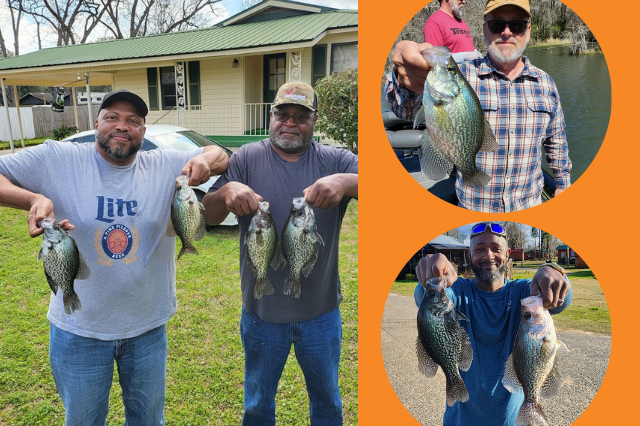 Lake BlackShear Crappie fishing