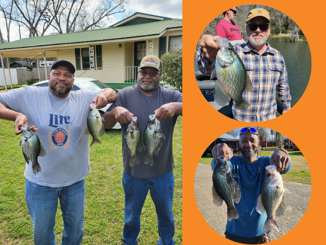 Lake BlackShear Crappie fishing