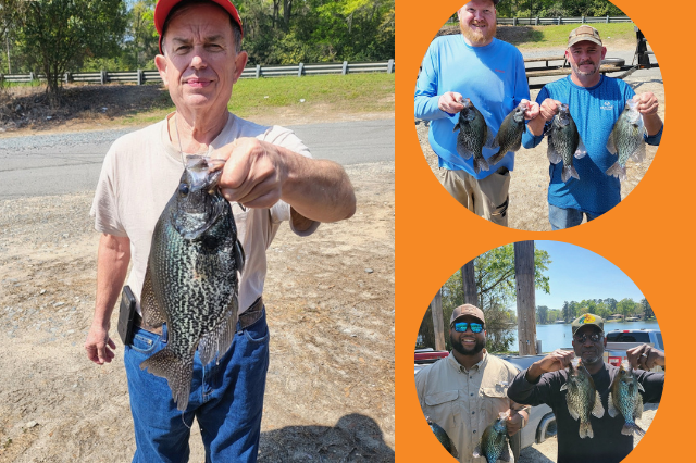 Lake BlackShear Crappie fishing