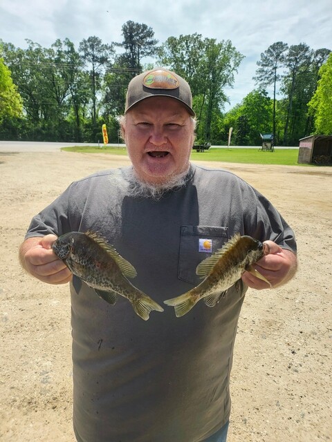 Lake Blackshear Fishing