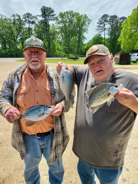 Lake Blackshear Fishing