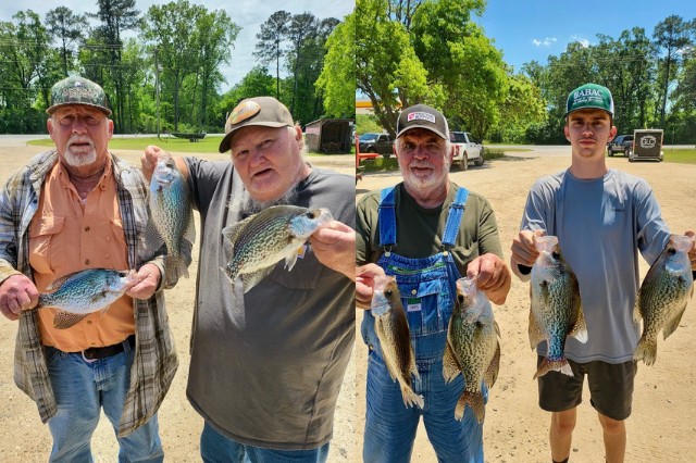 Lake Blackshear Fishing