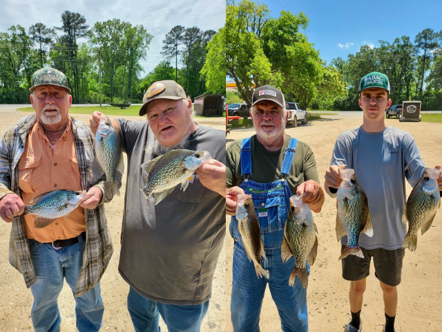 Lake Blackshear Fishing