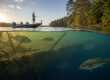 Water Temperature and Bass