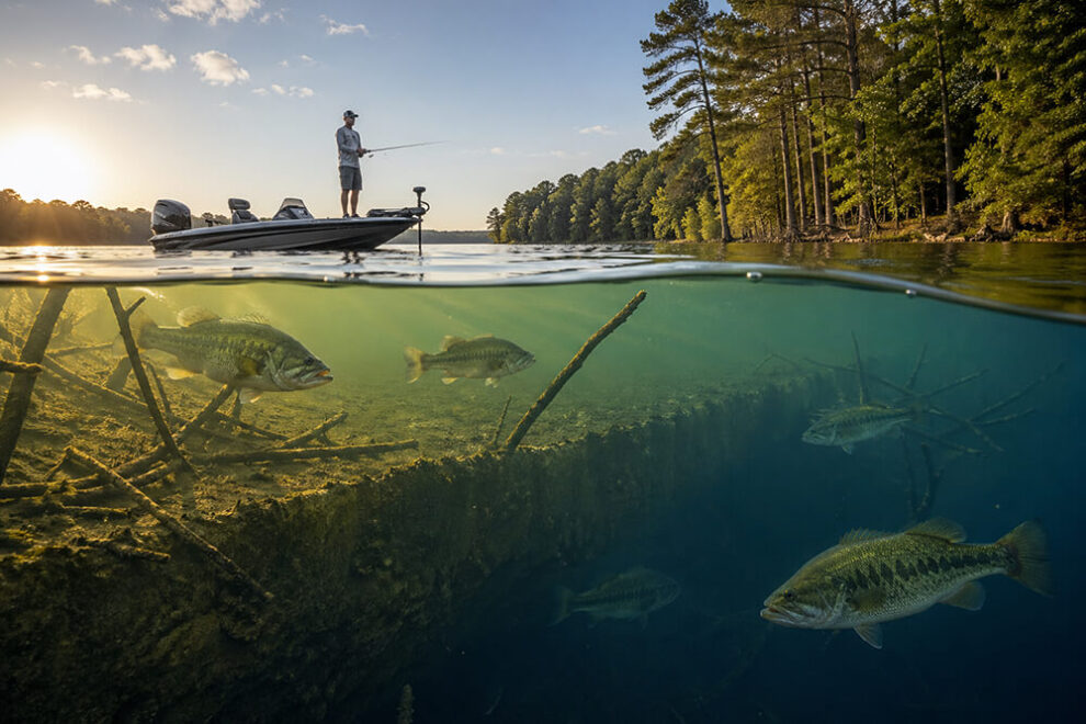 Water Temperature and Bass