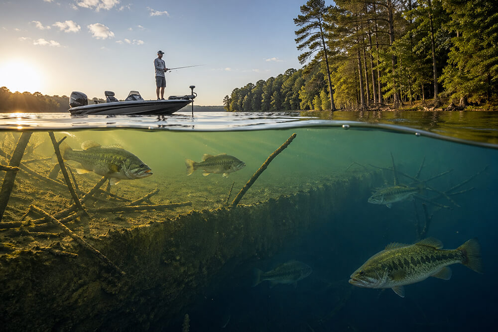 Water Temperature and Bass